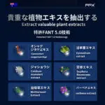 セックス ローション