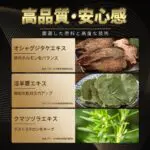 勃起薬 即効 人気